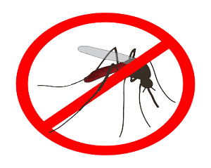 Anti-Malarial